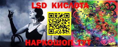 шишки Кинель