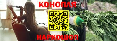 МДПВ Кингисепп