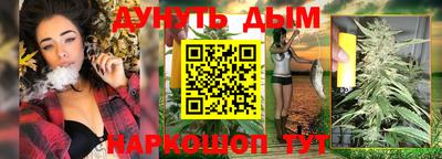 шишки Кинель