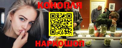 шишки Кинель