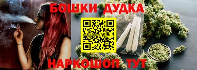 МДПВ Кингисепп
