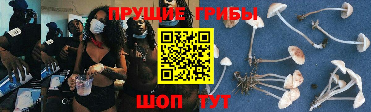 Чусовой  Галлюциногенные грибы Magic Shrooms  Вход с VPN 